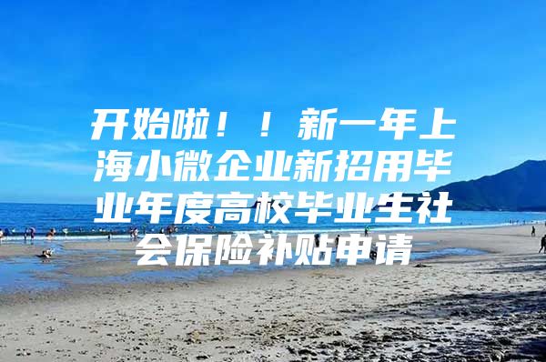 開始啦??！新一年上海小微企業(yè)新招用畢業(yè)年度高校畢業(yè)生社會保險補貼申請