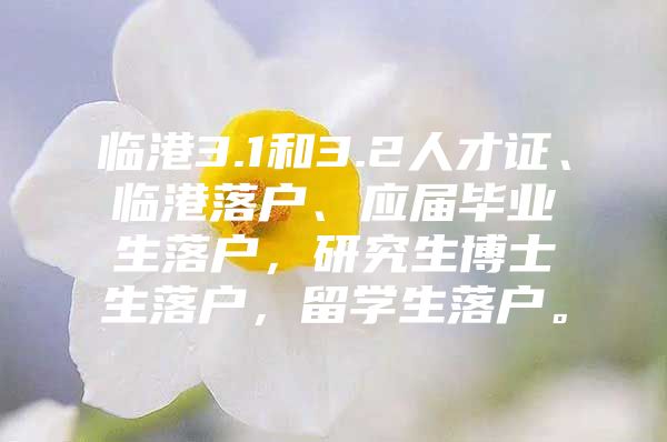 臨港3.1和3.2人才證、臨港落戶、應(yīng)屆畢業(yè)生落戶，研究生博士生落戶，留學(xué)生落戶。