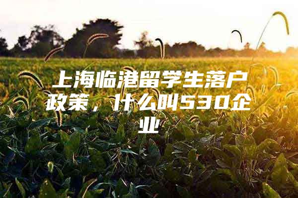 上海臨港留學(xué)生落戶政策，什么叫530企業(yè)