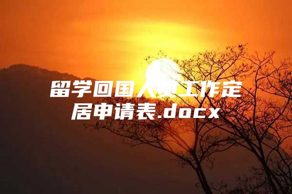 留學回國人員工作定居申請表.docx