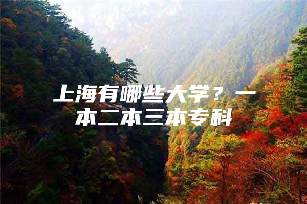 上海有哪些大學？一本二本三本?？?/></p>
								<p style=