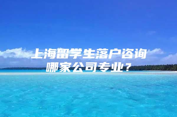 上海留學(xué)生落戶咨詢哪家公司專業(yè)？