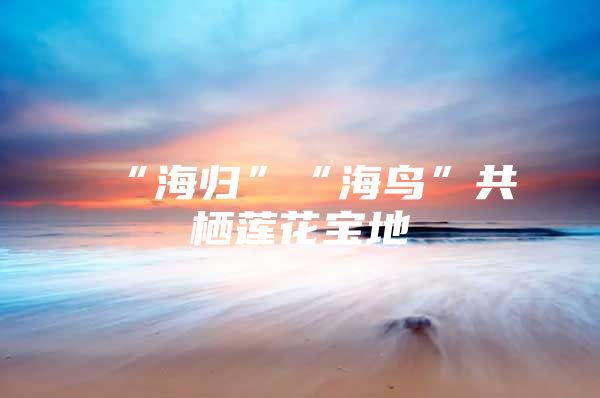 “海歸”“海鳥(niǎo)”共棲蓮花寶地