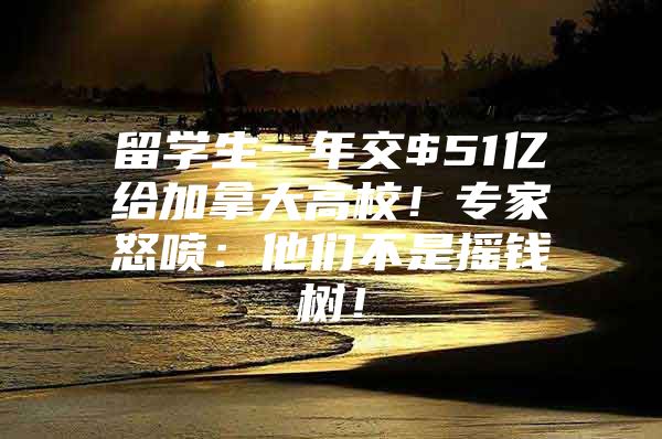 留學生一年交$51億給加拿大高校！專家怒噴：他們不是搖錢樹！