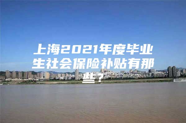 上海2021年度畢業(yè)生社會保險補貼有那些？