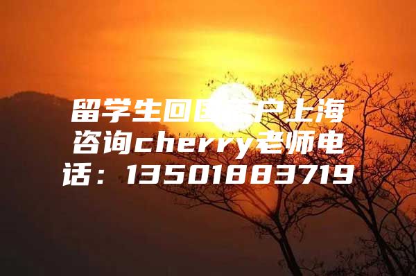 留學(xué)生回國(guó)落戶(hù)上海咨詢(xún)cherry老師電話(huà)：13501883719