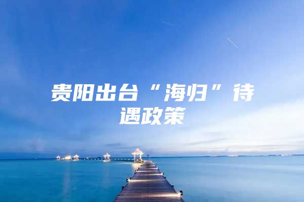 貴陽(yáng)出臺(tái)“海歸”待遇政策