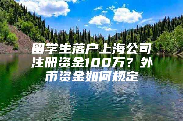 留學(xué)生落戶上海公司注冊(cè)資金100萬？外幣資金如何規(guī)定