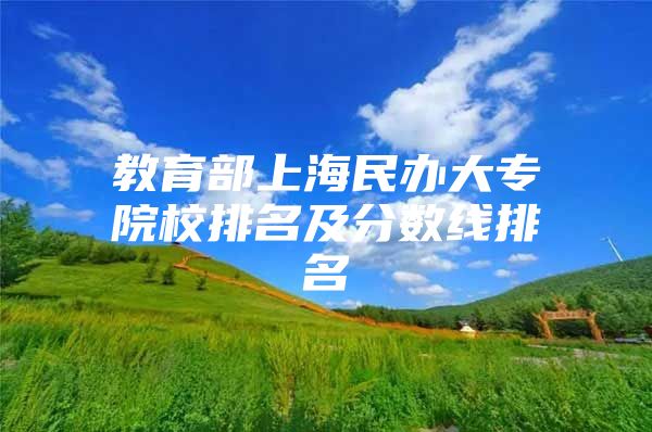 教育部上海民辦大專院校排名及分數(shù)線排名