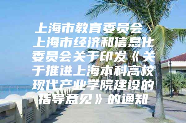 上海市教育委員會 上海市經濟和信息化委員會關于印發(fā)《關于推進上海本科高?，F代產業(yè)學院建設的指導意見》的通知