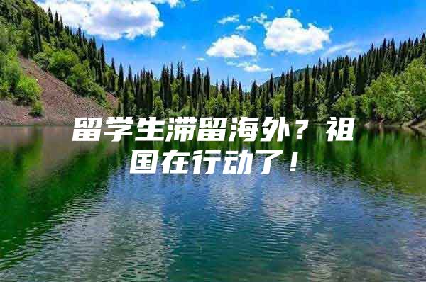 留學(xué)生滯留海外？祖國(guó)在行動(dòng)了！