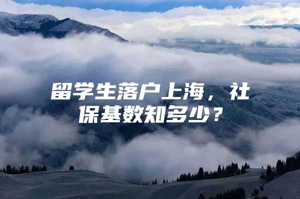 留學(xué)生落戶上海，社?；鶖?shù)知多少？