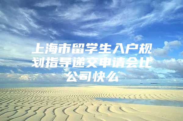 上海市留學(xué)生入戶規(guī)劃指導(dǎo)遞交申請(qǐng)會(huì)比公司快么