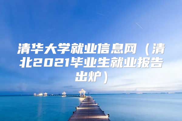 清華大學(xué)就業(yè)信息網(wǎng)（清北2021畢業(yè)生就業(yè)報(bào)告出爐）